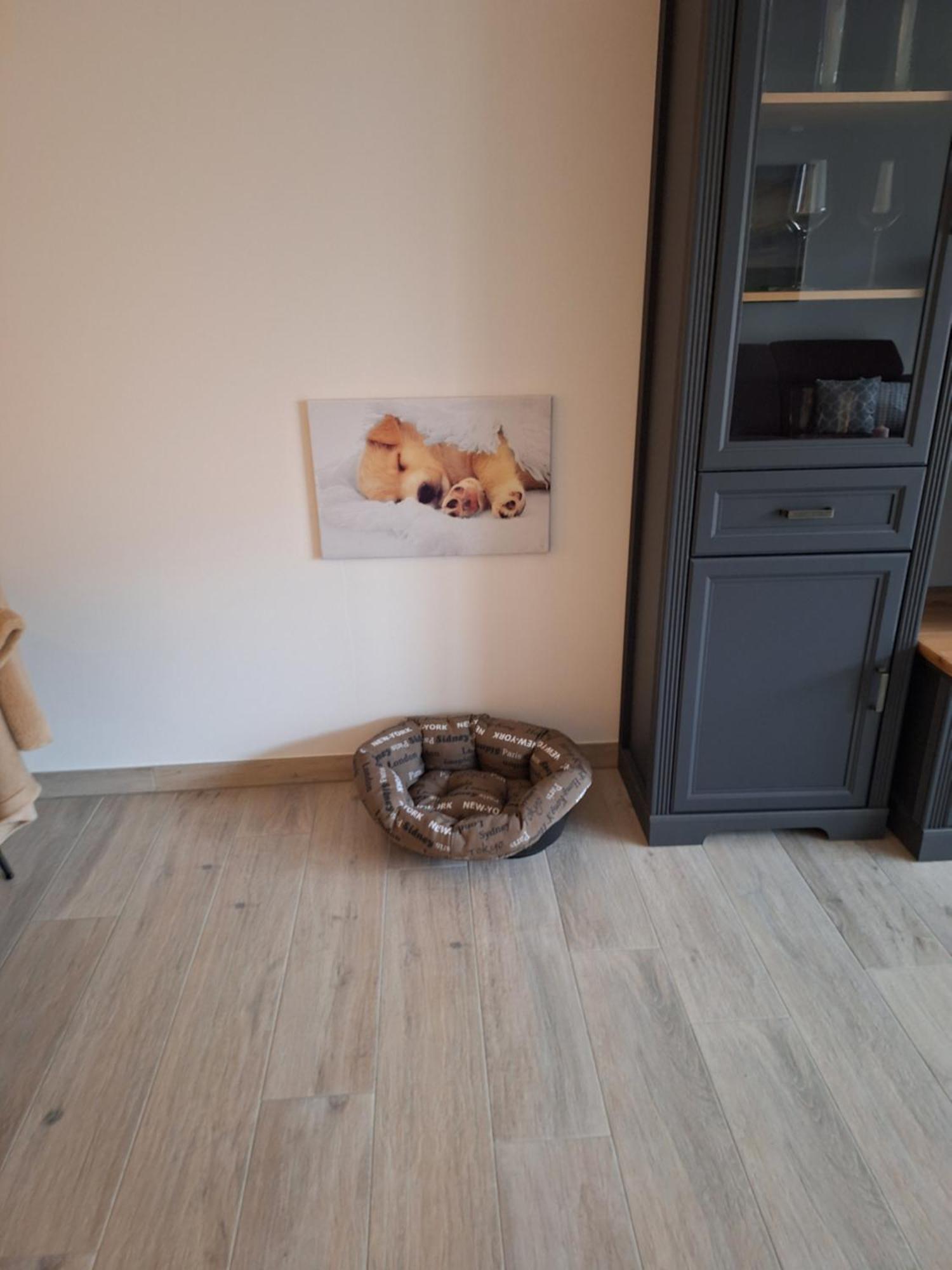 Apartment Annies Deichliebe Krummhoern Luaran gambar